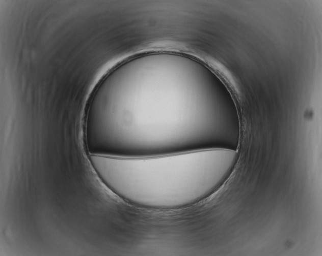 X0000100861288200806200828