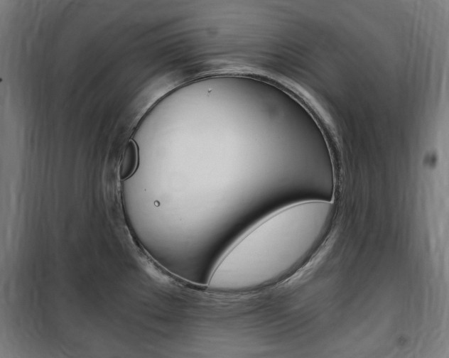 X0000100861289200806200828