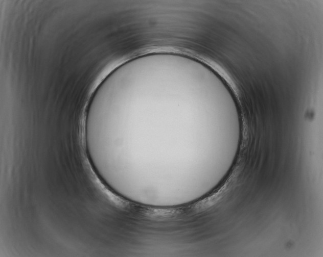 X0000100861290200806200828