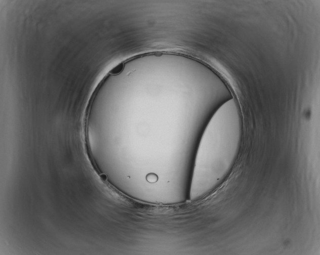X0000100861291200806200828