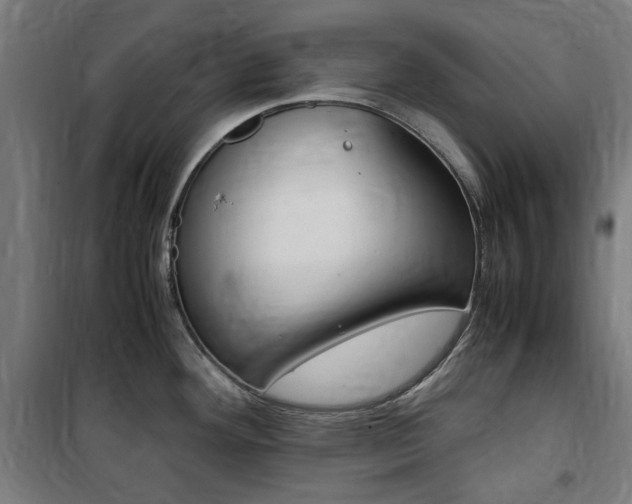 X0000100861292200806200828