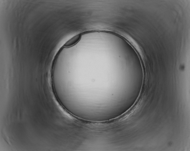 X0000100861293200806200828