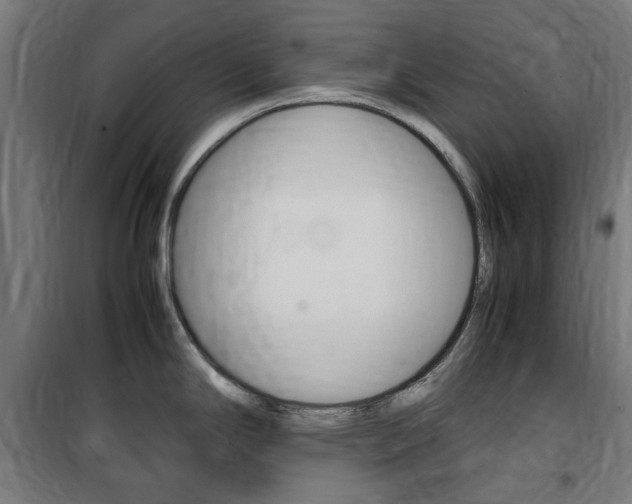 X0000100861294200806200828