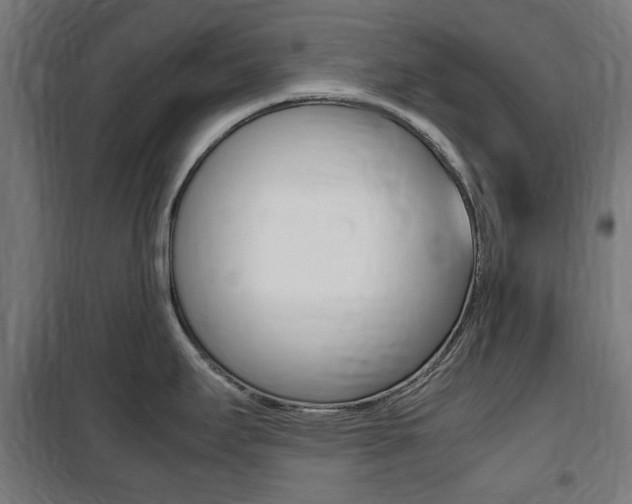 X0000100861295200806200828