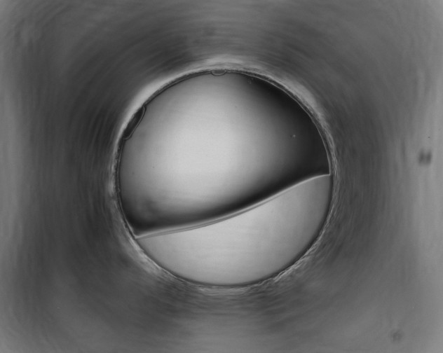 X0000100861296200806200828