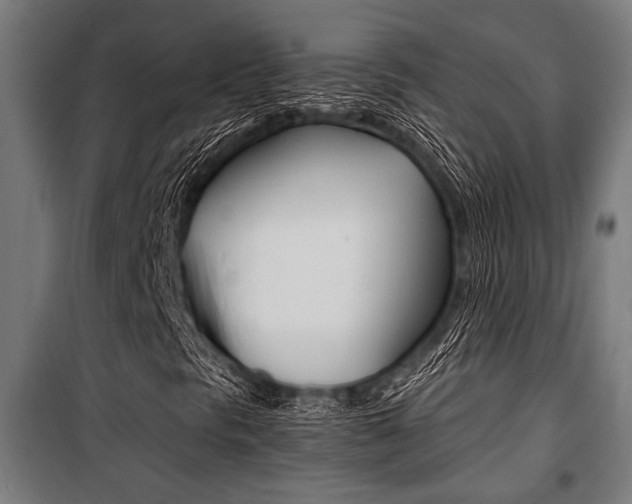 X0000100861297200806200828