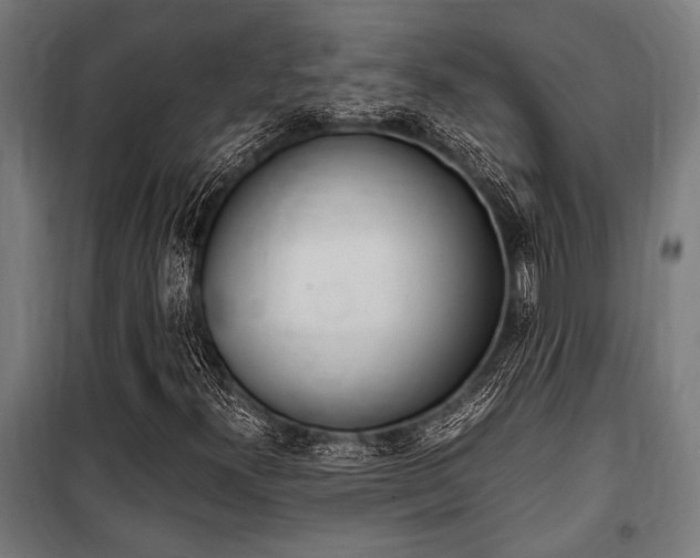 X0000100861300200806200828
