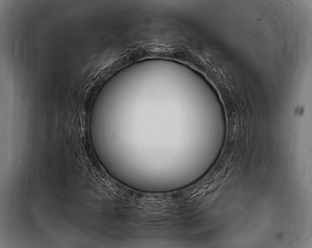 X0000100861301200806200828