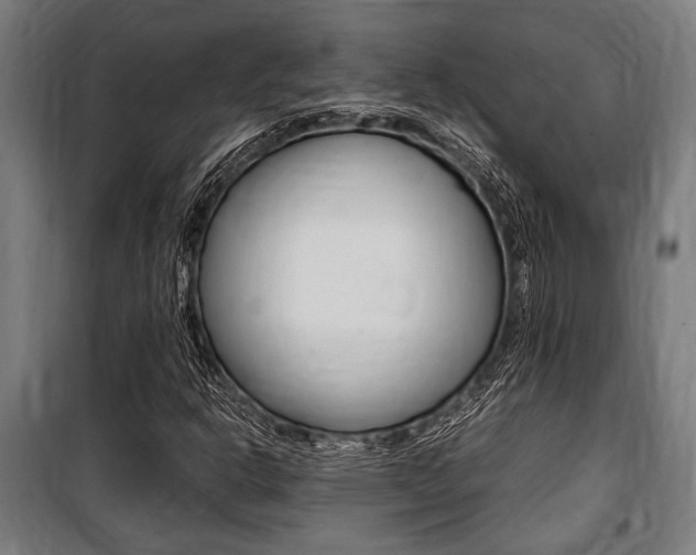X0000100861302200806200828