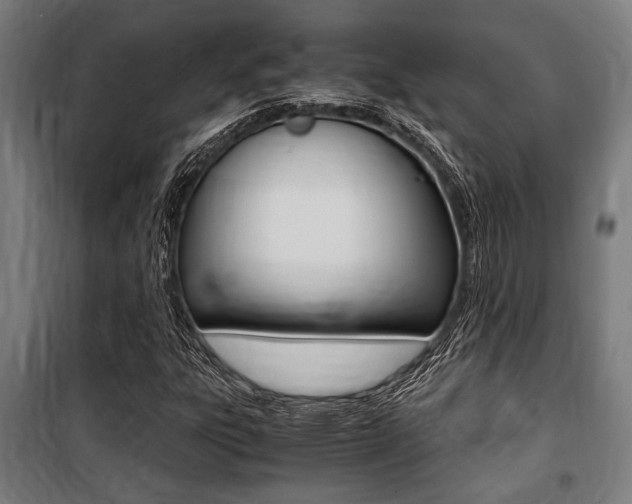 X0000100861303200806200828