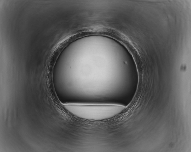 X0000100861304200806200828