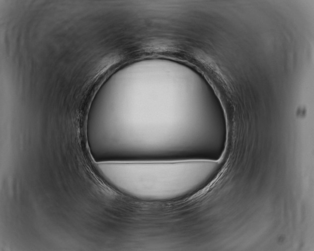 X0000100861305200806200828