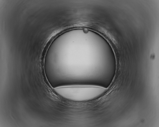 X0000100861308200806200828
