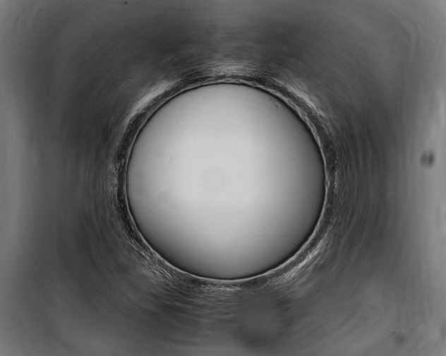 X0000100861309200806200828