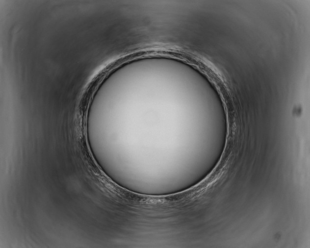 X0000100861310200806200828