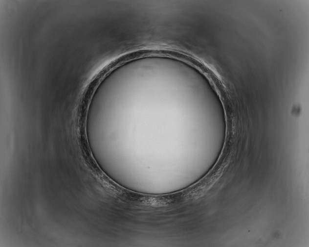 X0000100861311200806200828