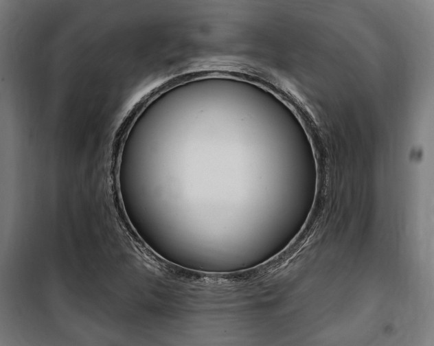 X0000100861312200806200828
