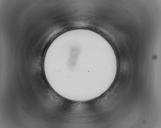 X0000100861314200806200828