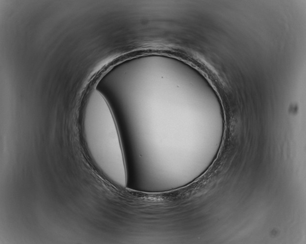 X0000100861315200806200828