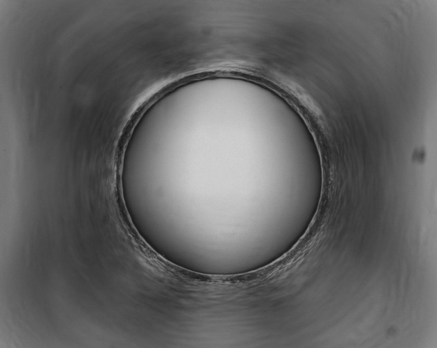 X0000100861316200806200828
