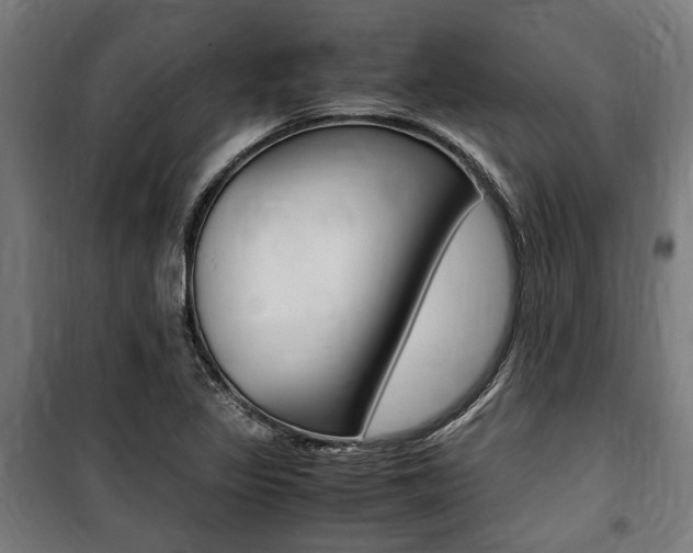 X0000100861317200806200828