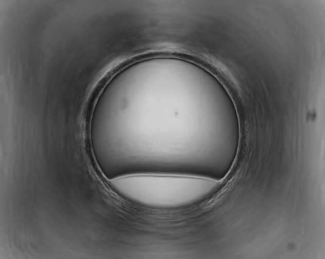 X0000100861318200806200828