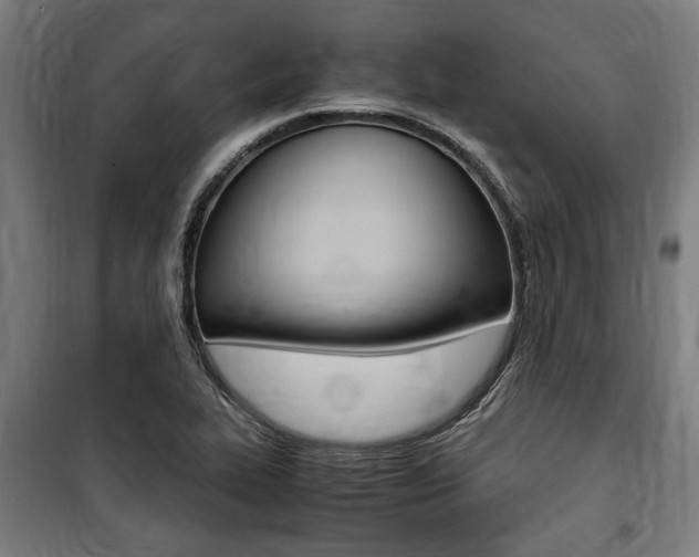 X0000100861319200806200828