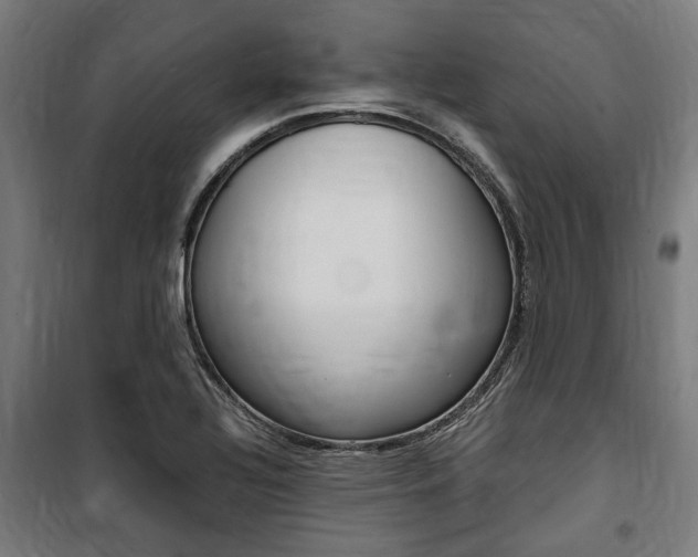 X0000100861320200806200828