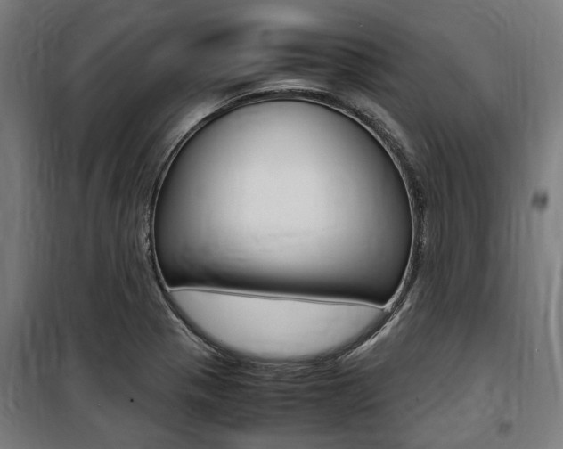 X0000100861321200806200828