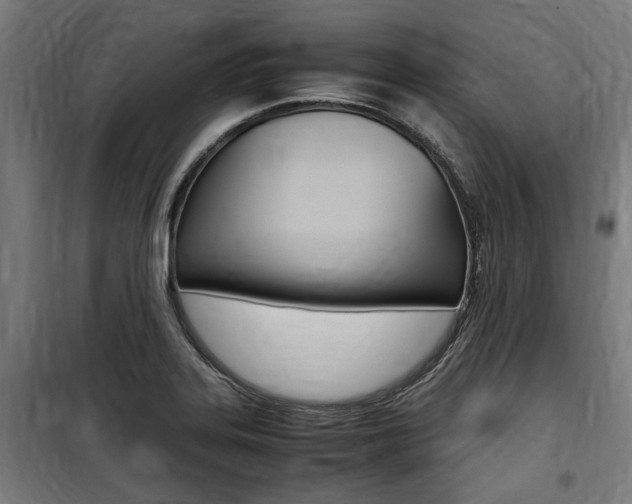 X0000100861323200806200828