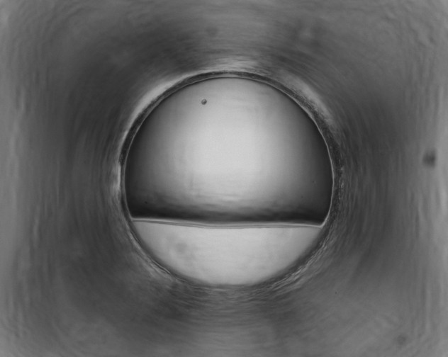 X0000100861324200806200828