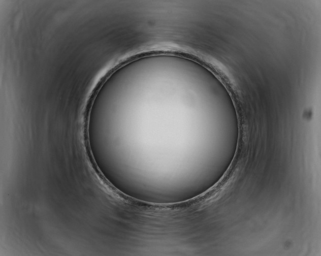 X0000100861326200806200828