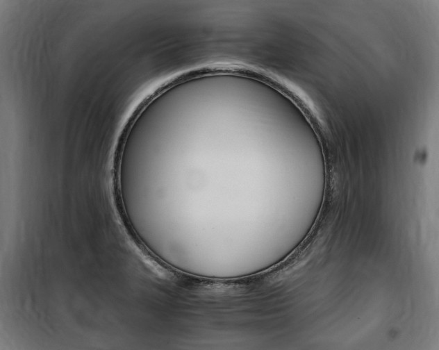 X0000100861327200806200828