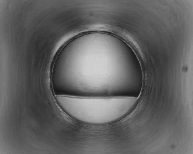 X0000100861328200806200828