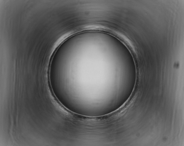 X0000100861330200806200828