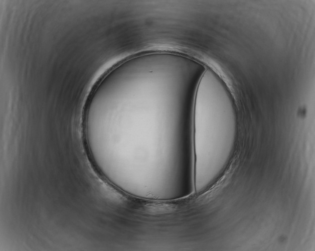 X0000100861331200806200828