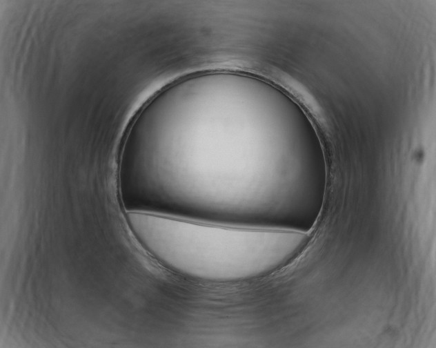 X0000100861332200806200828