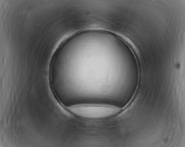 X0000100861333200806200828