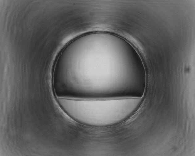 X0000100861334200806200828