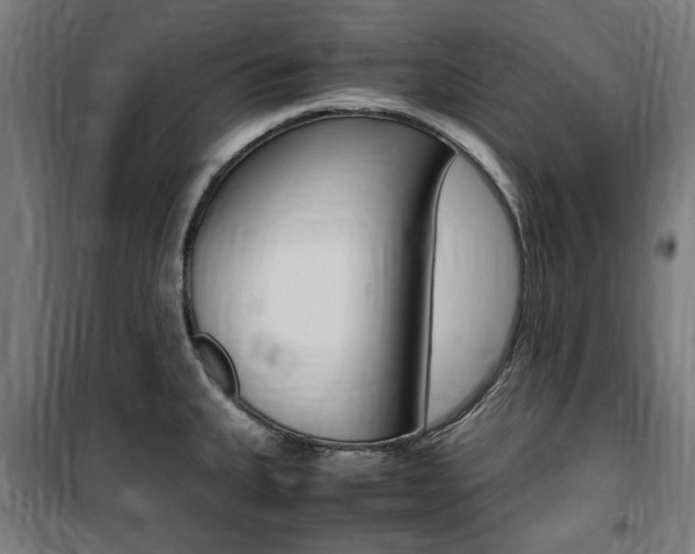 X0000100861335200806200828