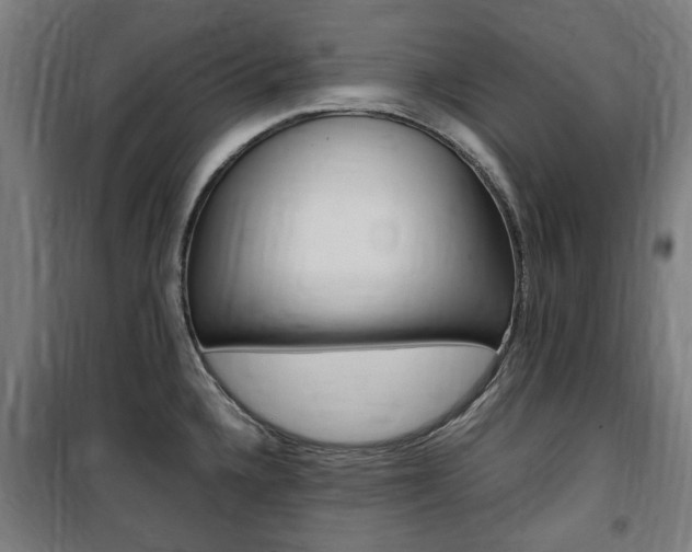 X0000100861336200806200828