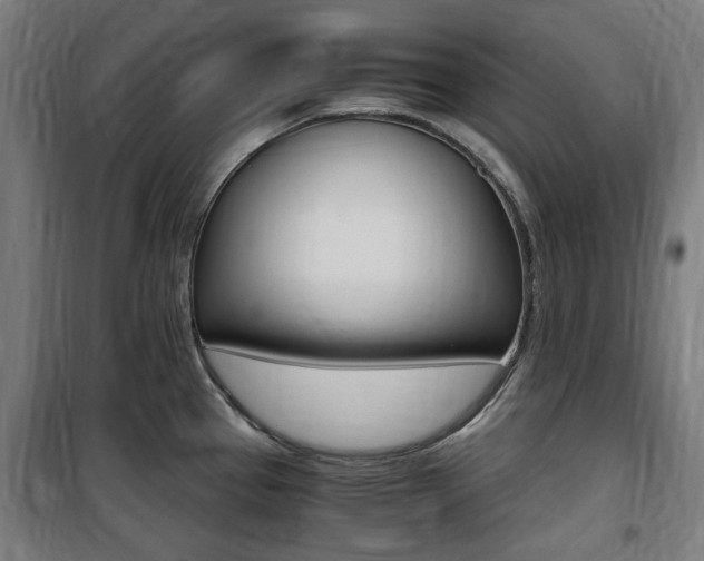 X0000100861337200806200828