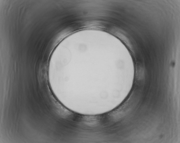 X0000100861338200806200828