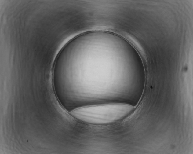 X0000100861340200806200828