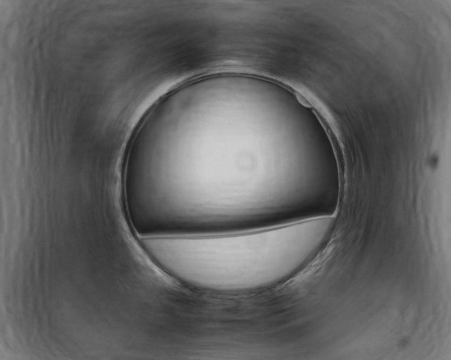 X0000100861341200806200828