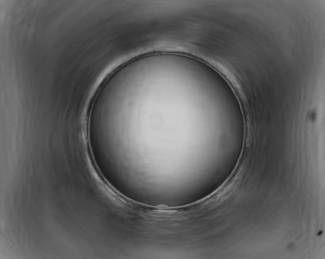 X0000100861342200806200828