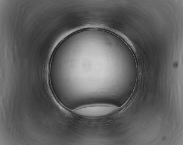 X0000100861343200806200828