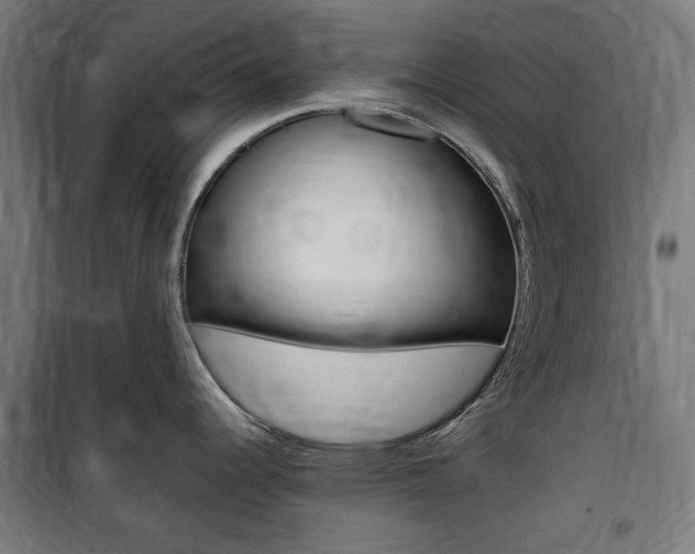X0000100861344200806200828