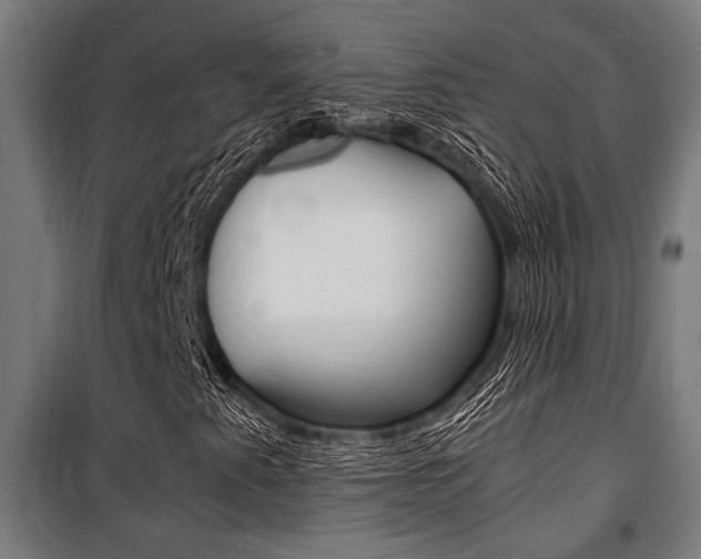 X0000100861345200806200828