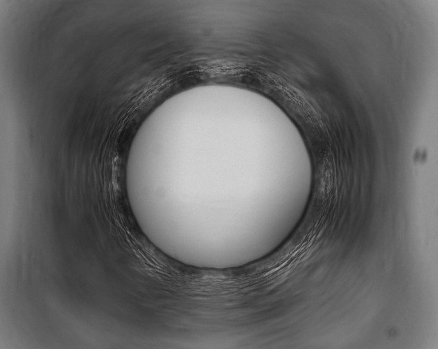 X0000100861346200806200827